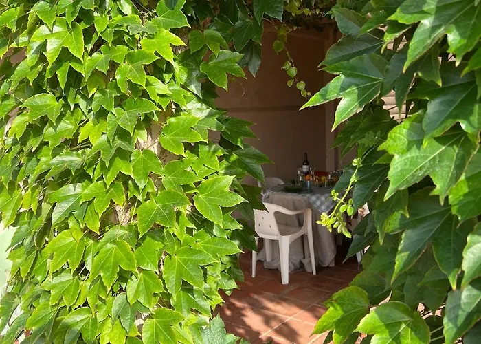 Casa Enredadera بيت للعطل