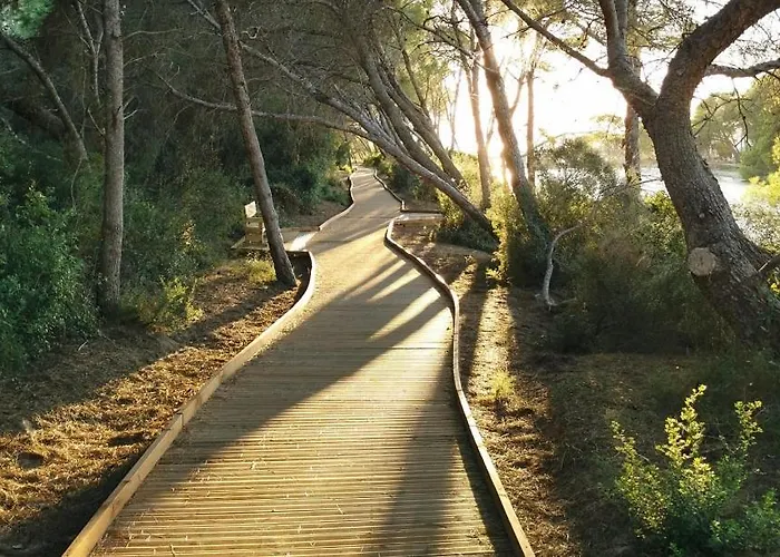 Casa vacanze Casa Enredadera El Mareny Blau
